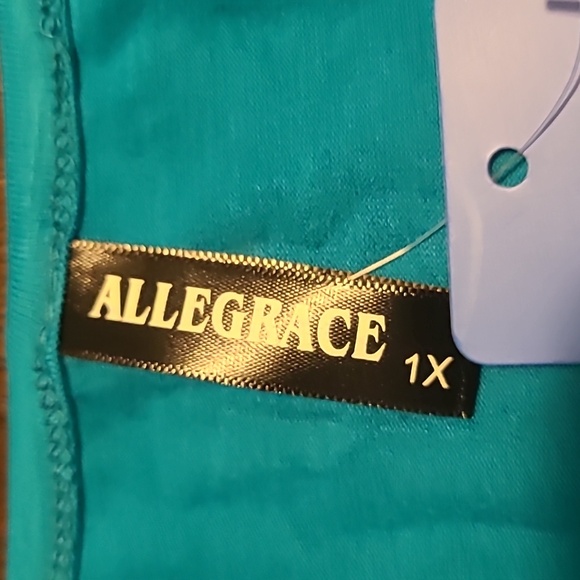 Allwgrace NWT Teal V-Neck Women's Top - 1X - Picture 5 of 9